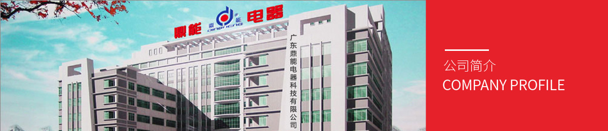 廣東鼎能電器科技有限公司